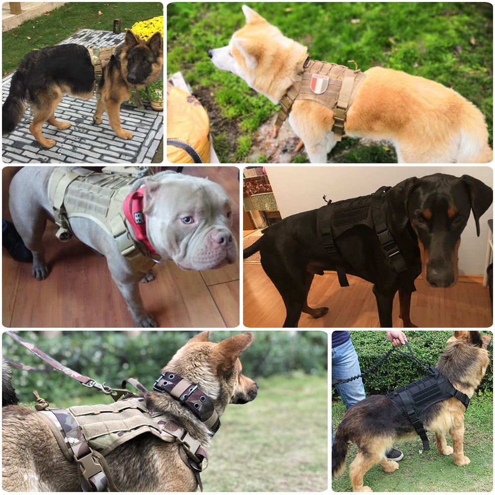 Dog Harness and Leash Set With Nylon Handle